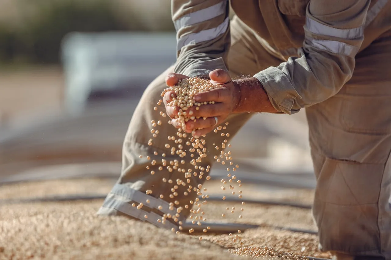 Aplicações de Desumidificadores na Produção de Fertilizantes e Compostos