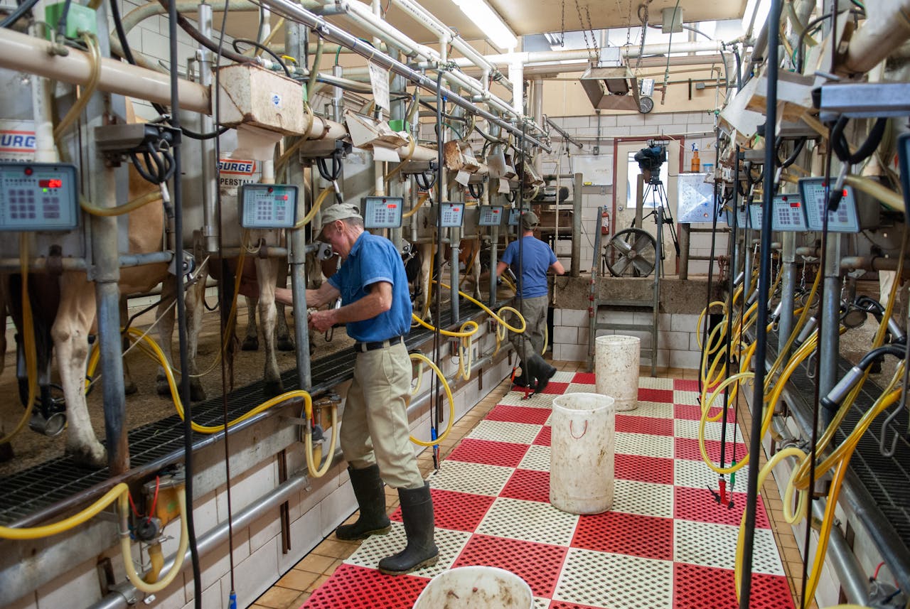 Problemas de Condensação em Áreas de Pasteurização e Resfriamento Problemas de Condensação em Áreas de Pasteurização e Resfriamento