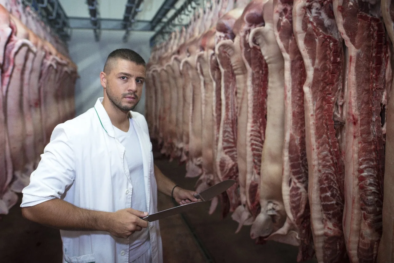 Qualidade e Aparência da Carne Como a Umidade Influencia