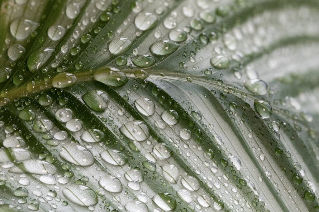 Papel dos desumidificadores na prevenção da condensação