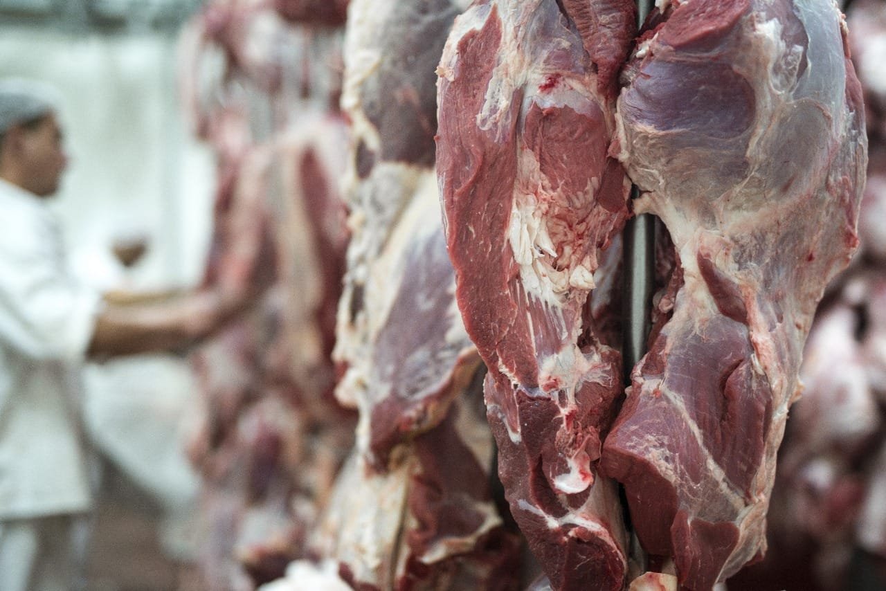 Desumidificador Para Indústria De Carnes E Açougues