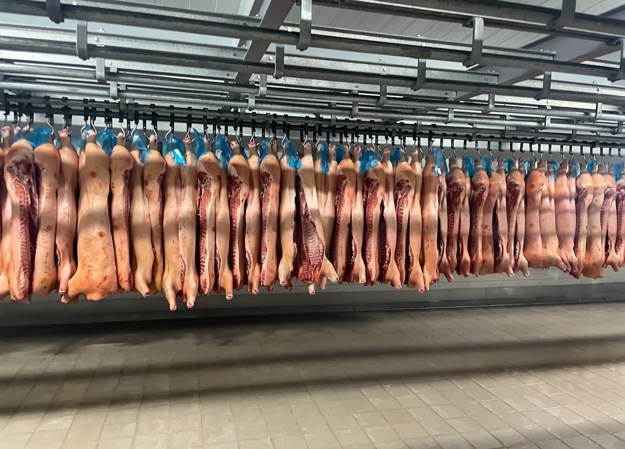 Desumidificador para Câmaras Frigoríficas