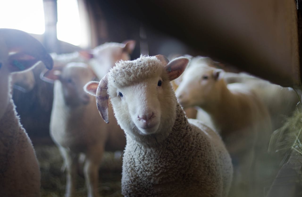 Desumidificador para Indústria Agropecuária